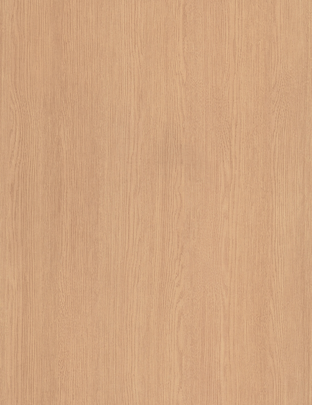 Panneau en bois de grain beige chêne clair Rumba 4 x 9 pieds