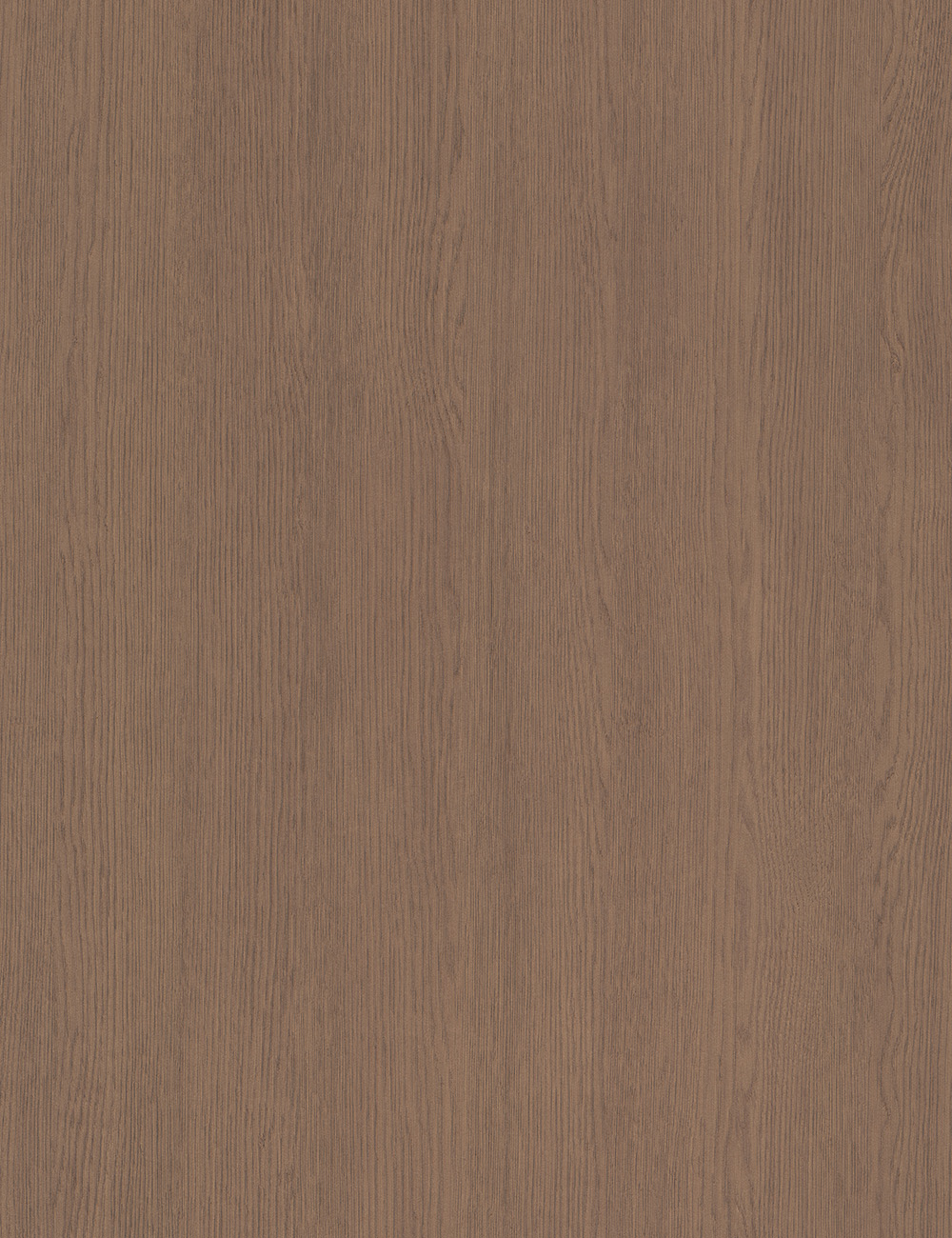 Panneau en bois de grain beige chêne marron Rumba 4 x 9 pieds