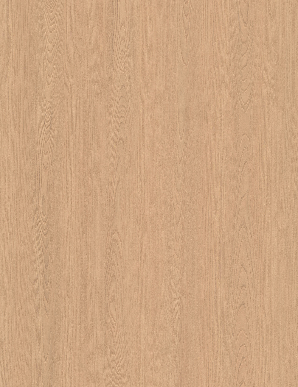 Panneau en bois beige orme clair de 4 x 9 pieds