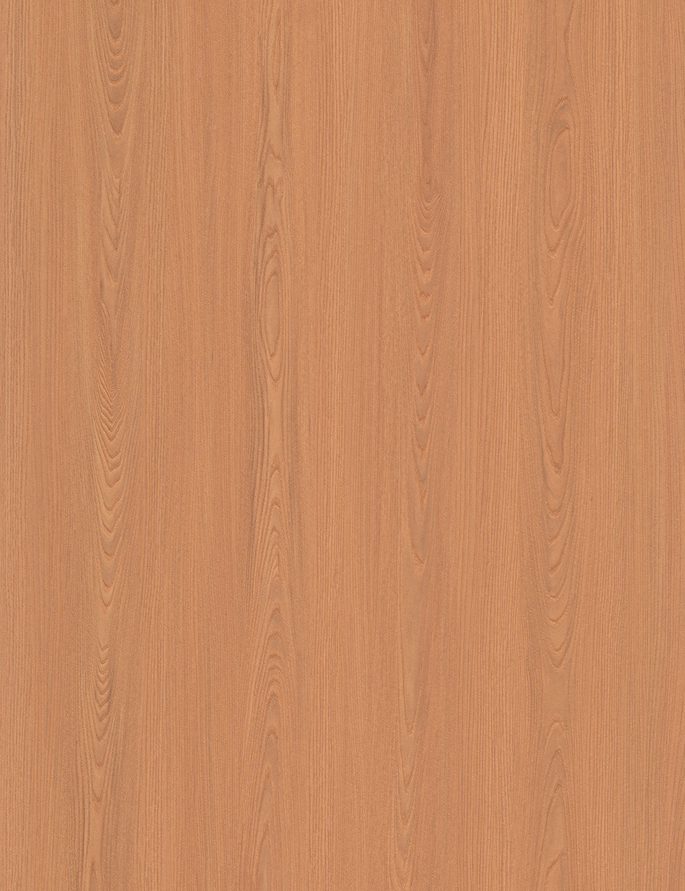 Panneau en bois beige orme naturel de 4 x 9 pieds
