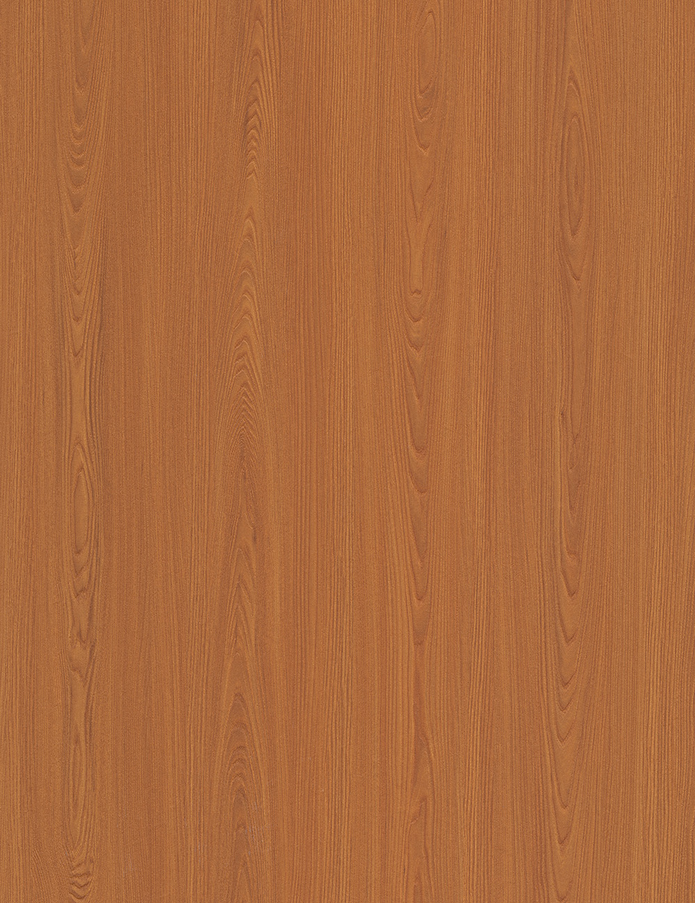 Panneau en bois beige orme foncé de 4 x 9 pieds