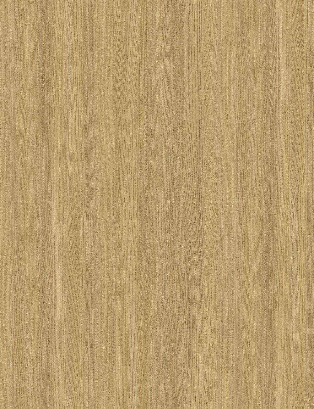 Panneau en grain de bois d'orme 4x9 pieds