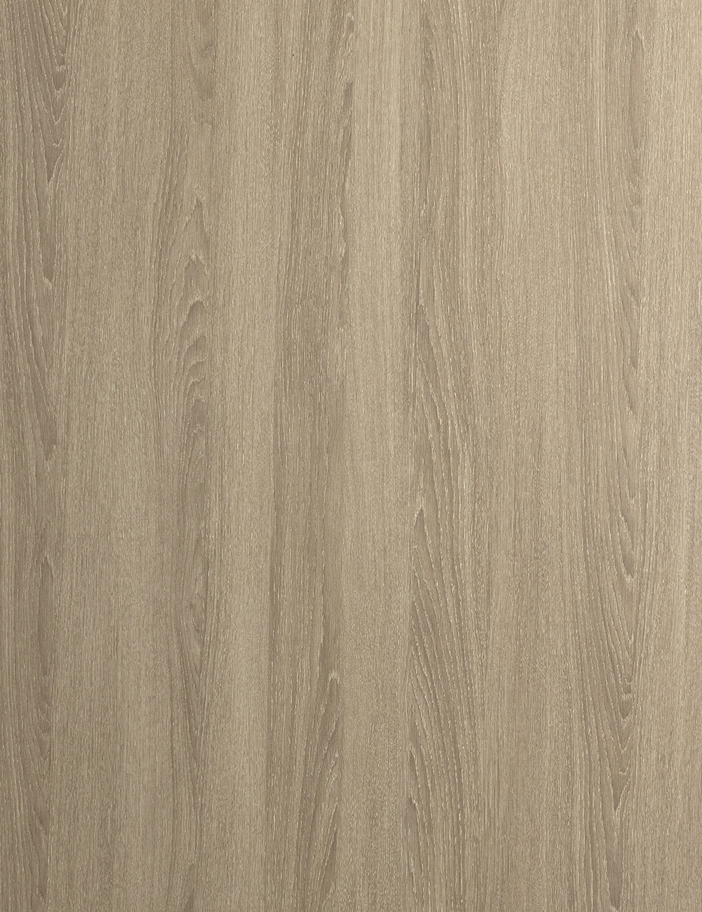 Panneau en bois de grain beige chêne blanc lavé de 4 x 9 pieds