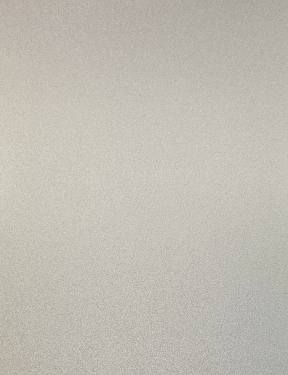 Panneau de porte Premium en argent mat laqué 4x9 pieds