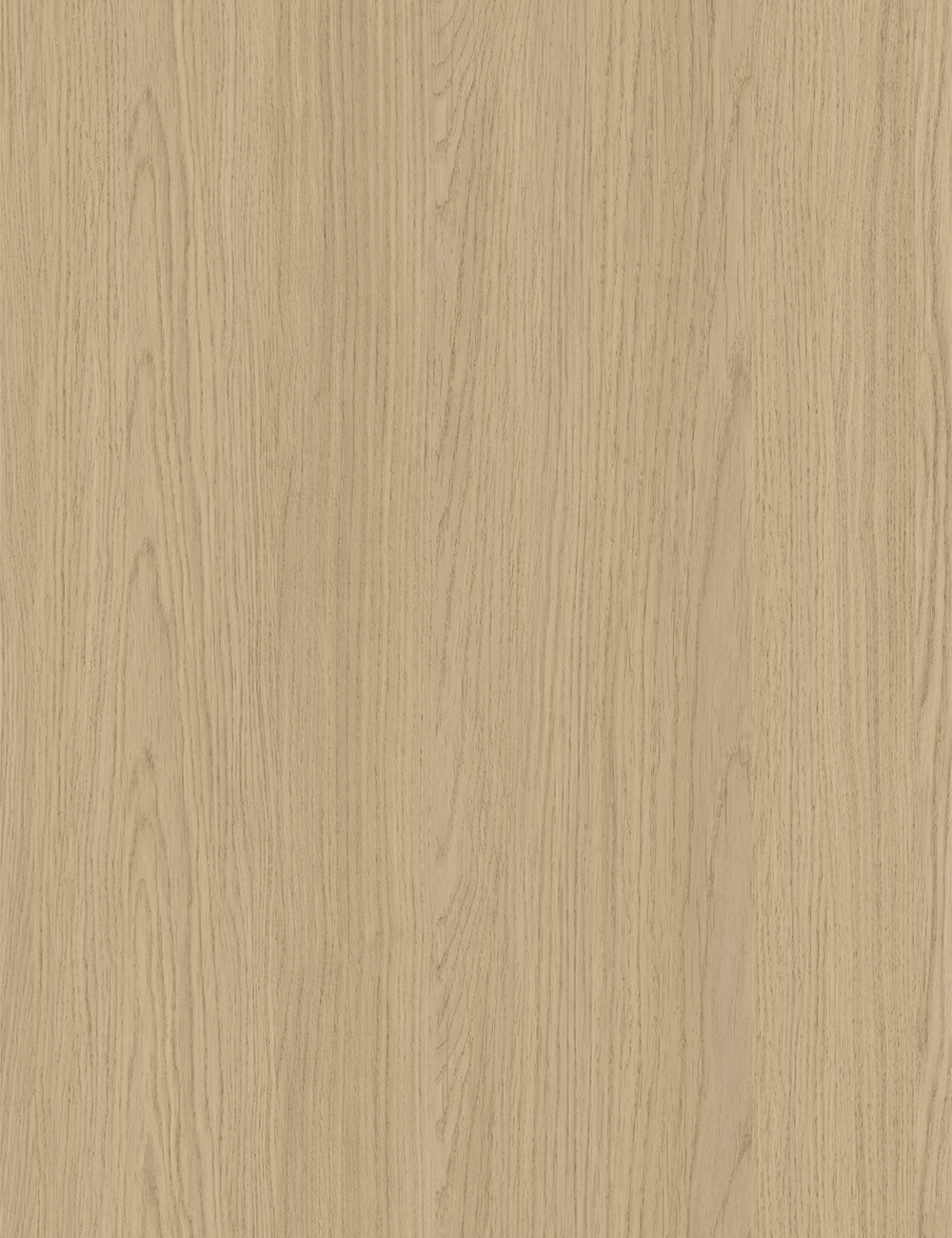 Panneau décoratif en chêne clair avec grain de bois Rumba