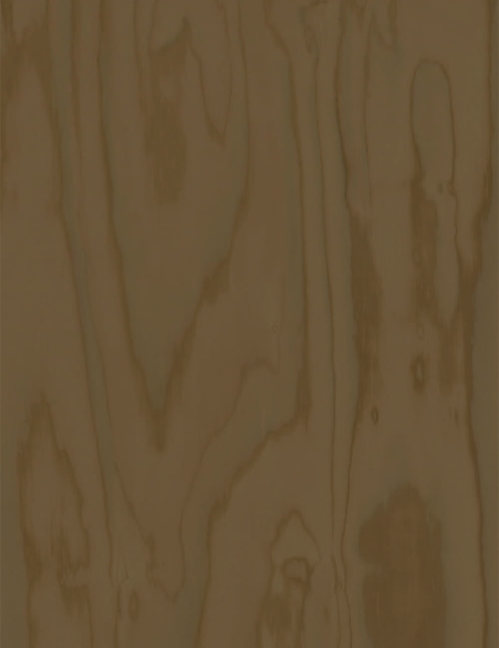 Panneau en bois moderne en érable de 7 x 9 pieds