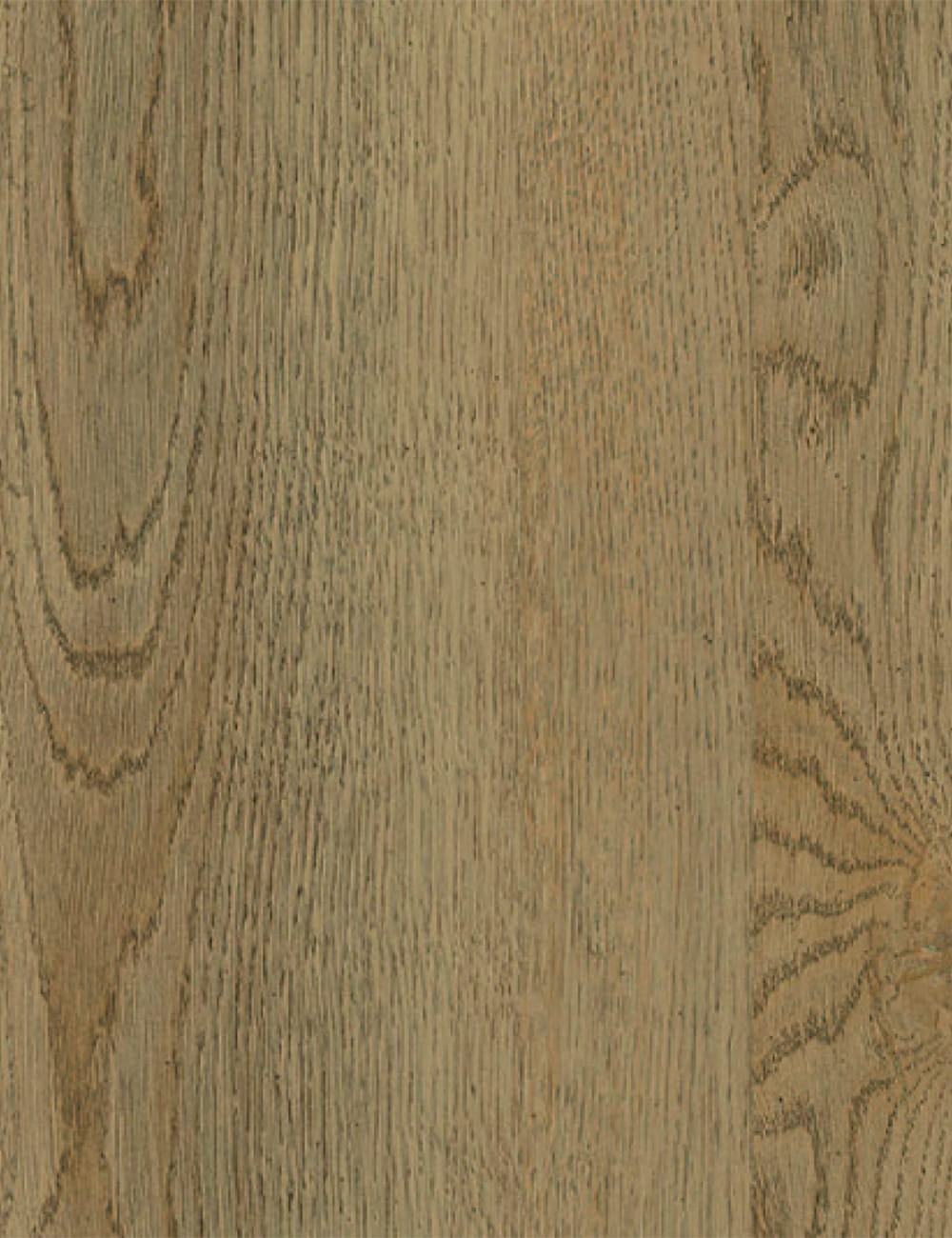 Panneau rustique en chêne naturel avec grain de bois de 7 x 9 pieds