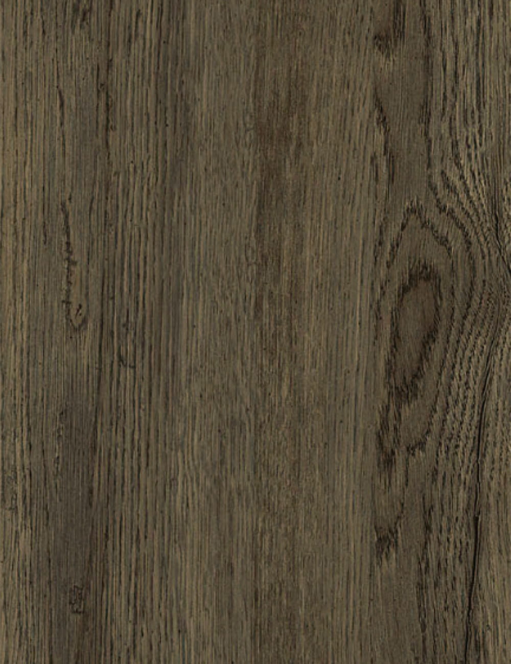 Panneau de grain de bois vintage en chêne naturel de 7 x 9 pieds