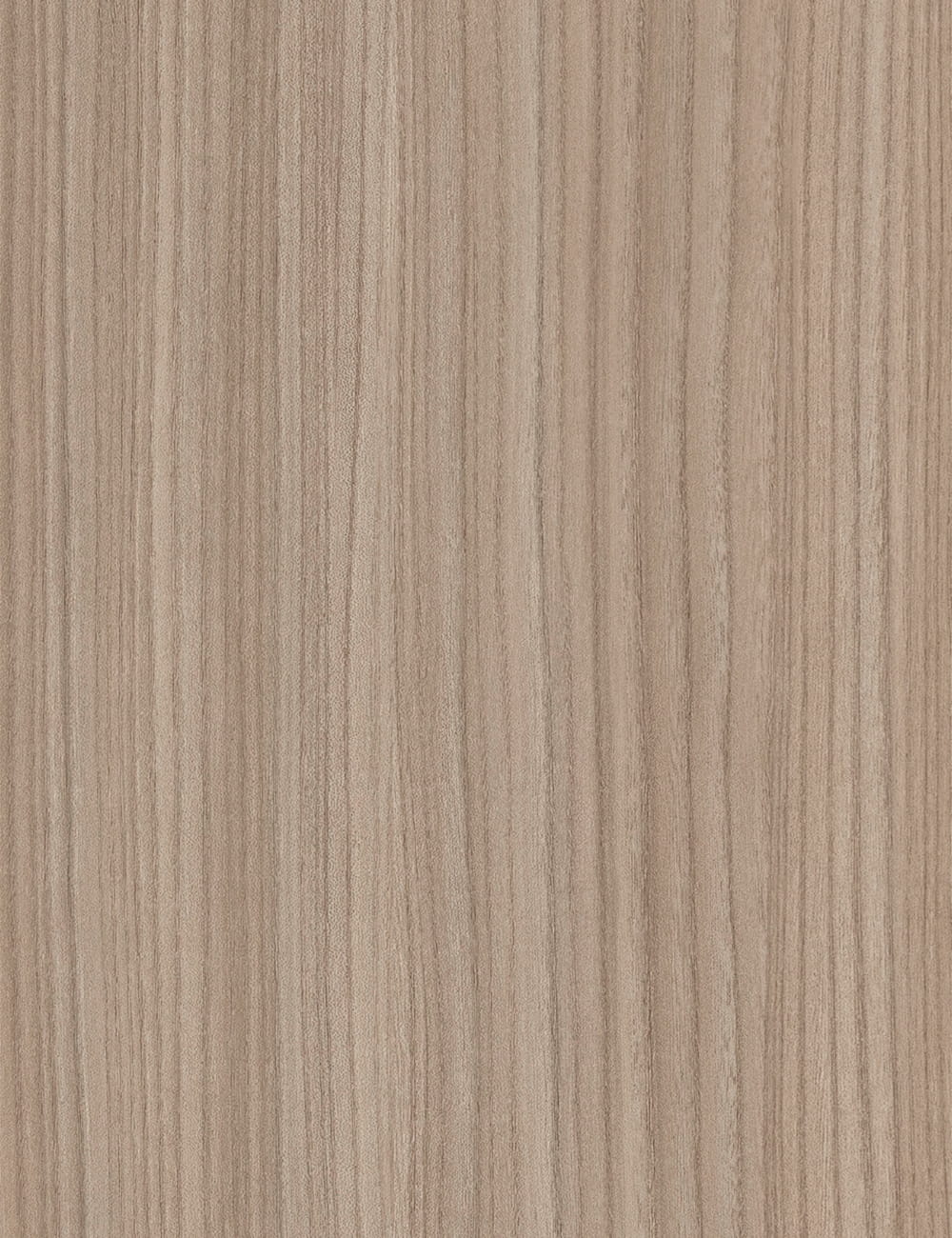 Panneau décoratif en grain de bois d'orme clair