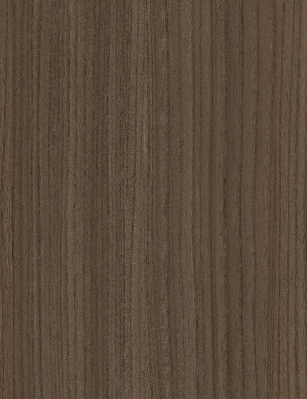Panneau classique en bois de 7 x 9 pieds, grain d'orme