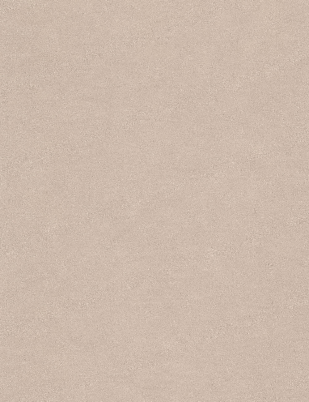Panneau de texture en cuir de veau clair 4 x 9 pieds