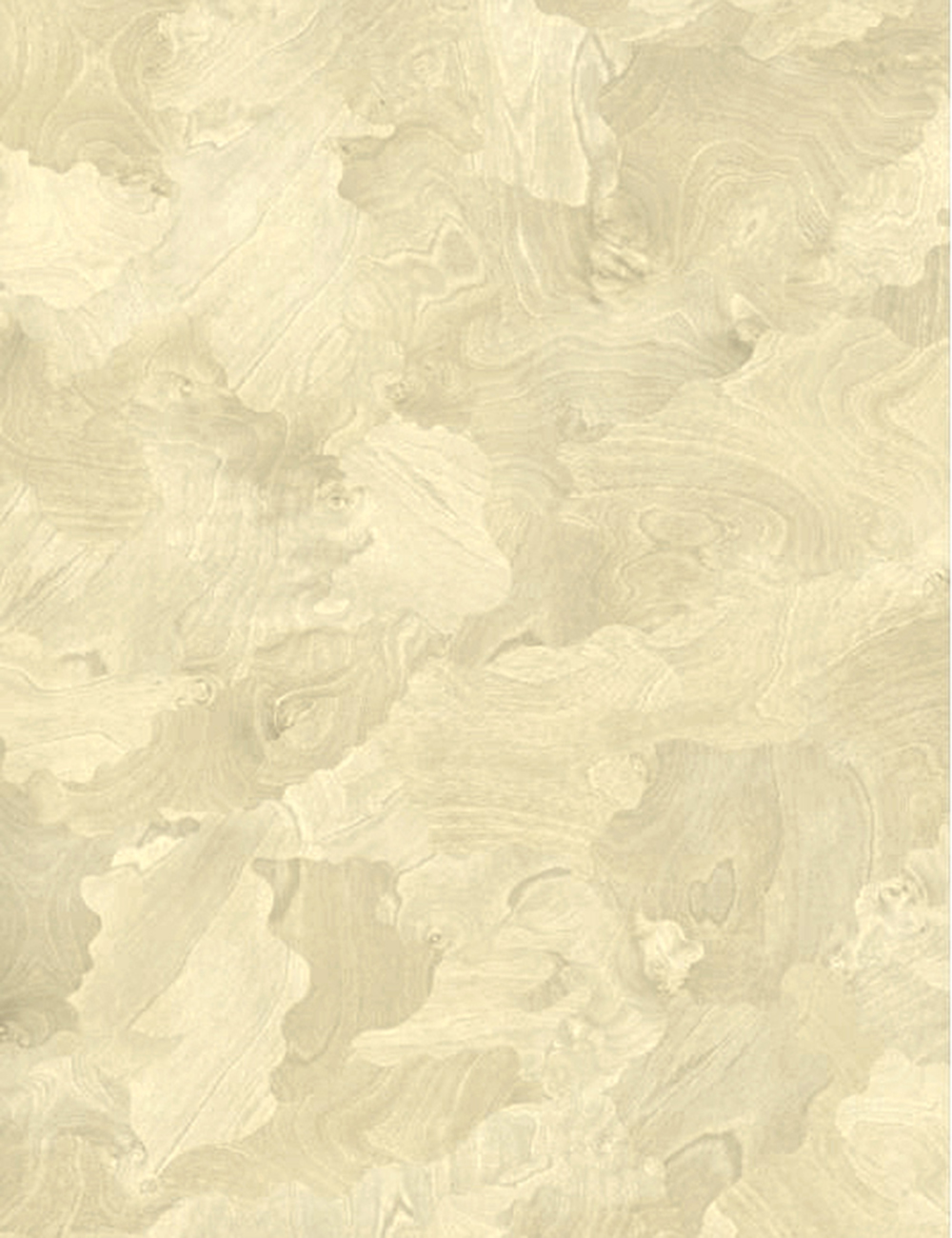 Panneau de placage de bois marqueterie 4x9 pieds